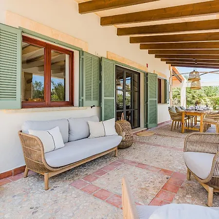 Oli Villa Pollenca